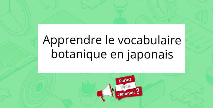 100 Fiches De Vocabulaire Japonais Pdf Gratuit parlezvousjaponais.fr